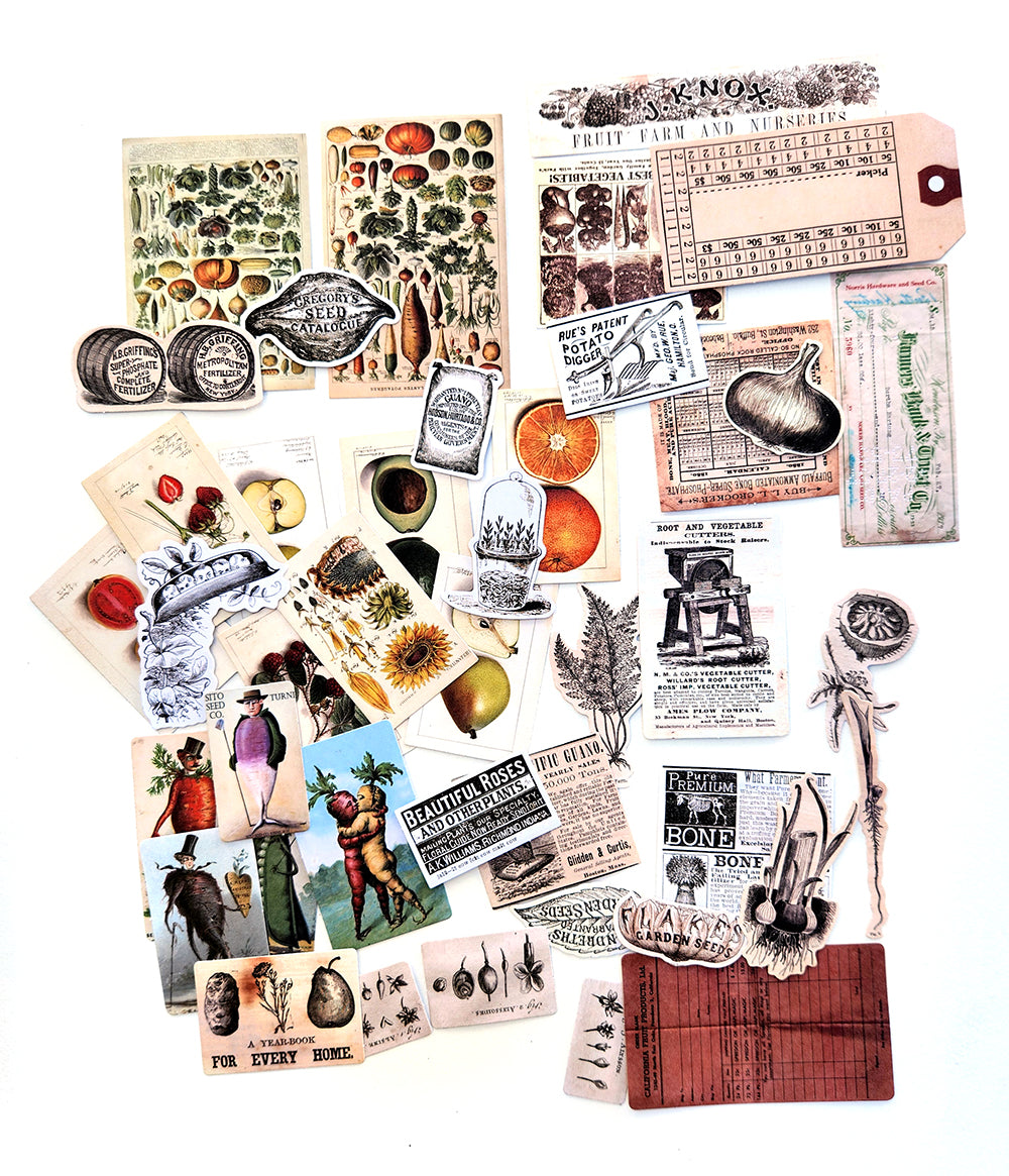 Seeds & Roots Diecuts