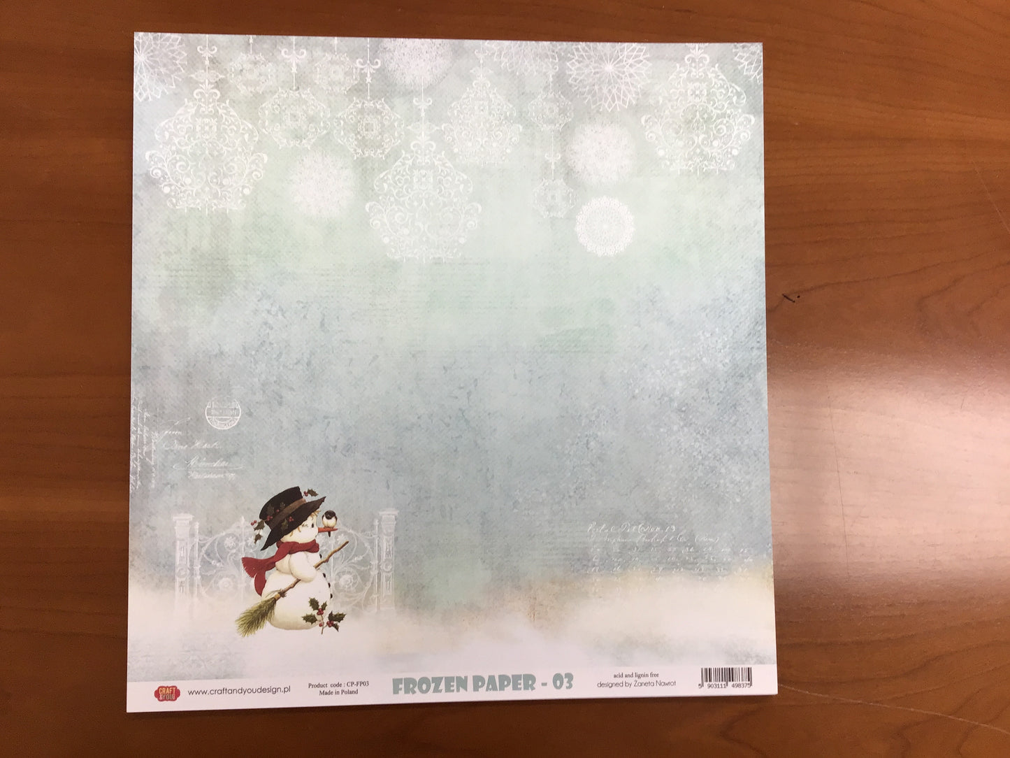 Frozen Paper 03