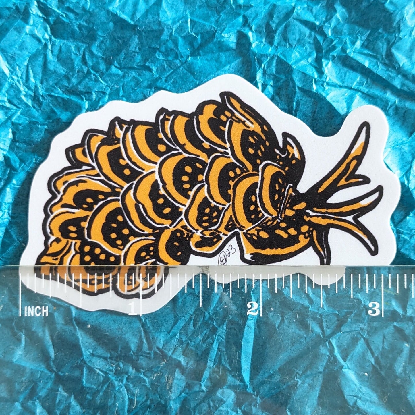 Orange/Black Nudibranch