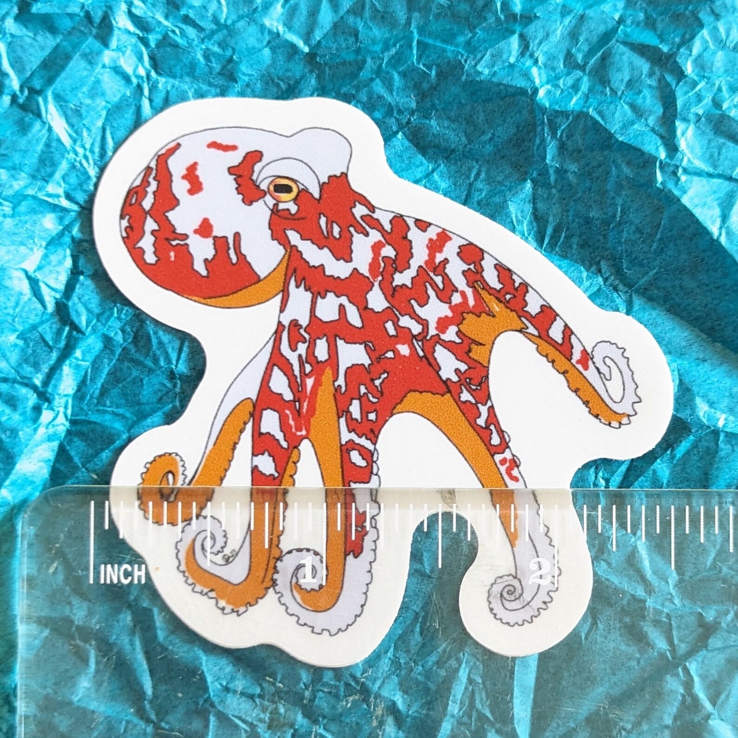 Octavia Octopus