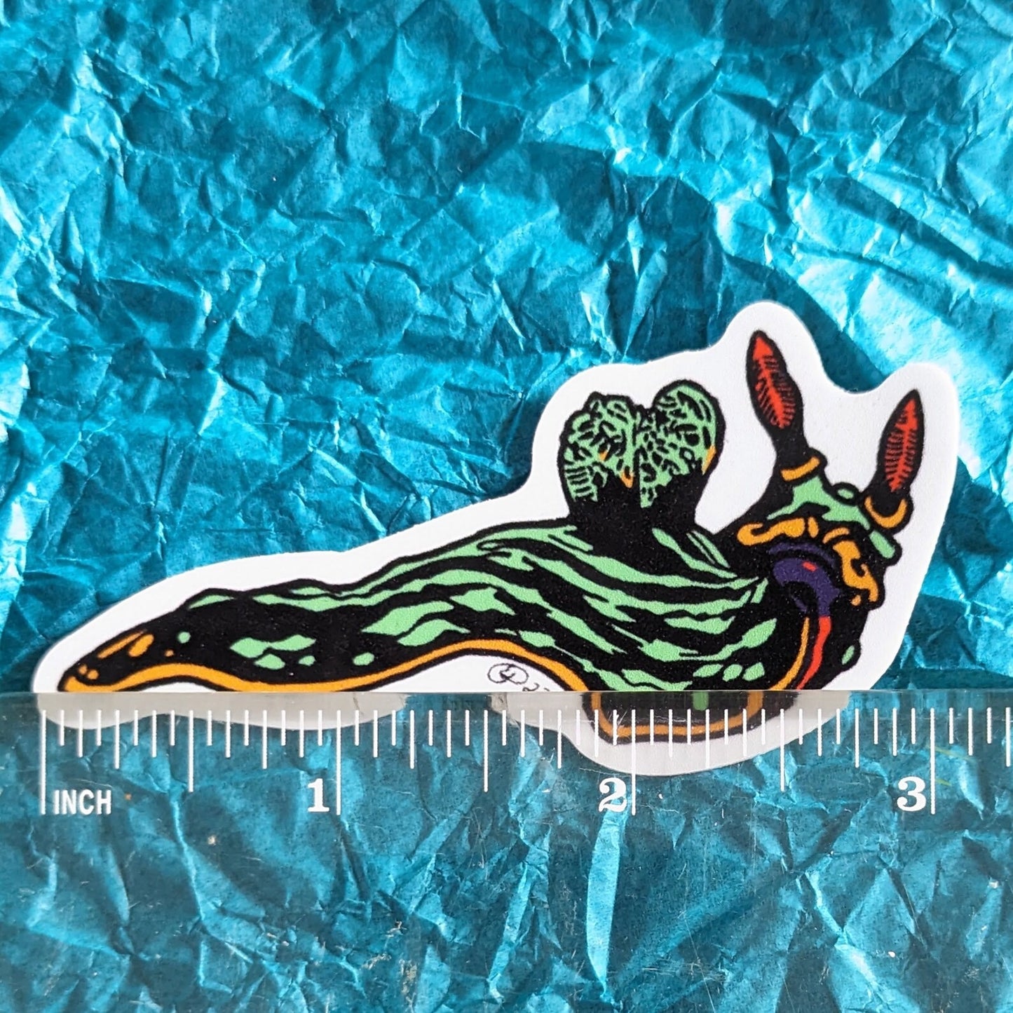 Green Nudibranch