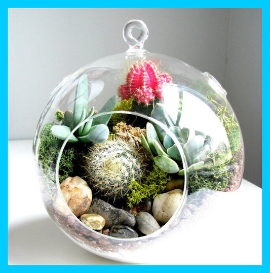Living Xmas Globe