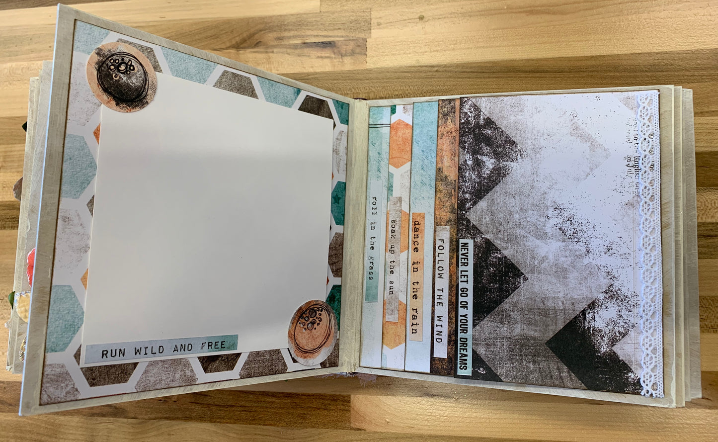 Cotton Candy Dreams Album