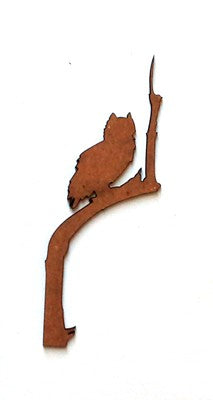 Owl Specimen