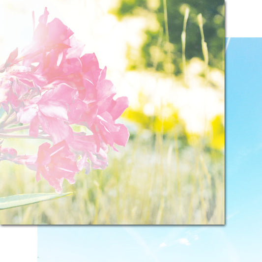Verano Azul - Pureness