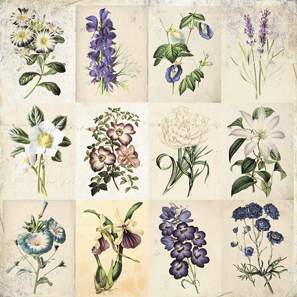 Garden Party - Dreamy