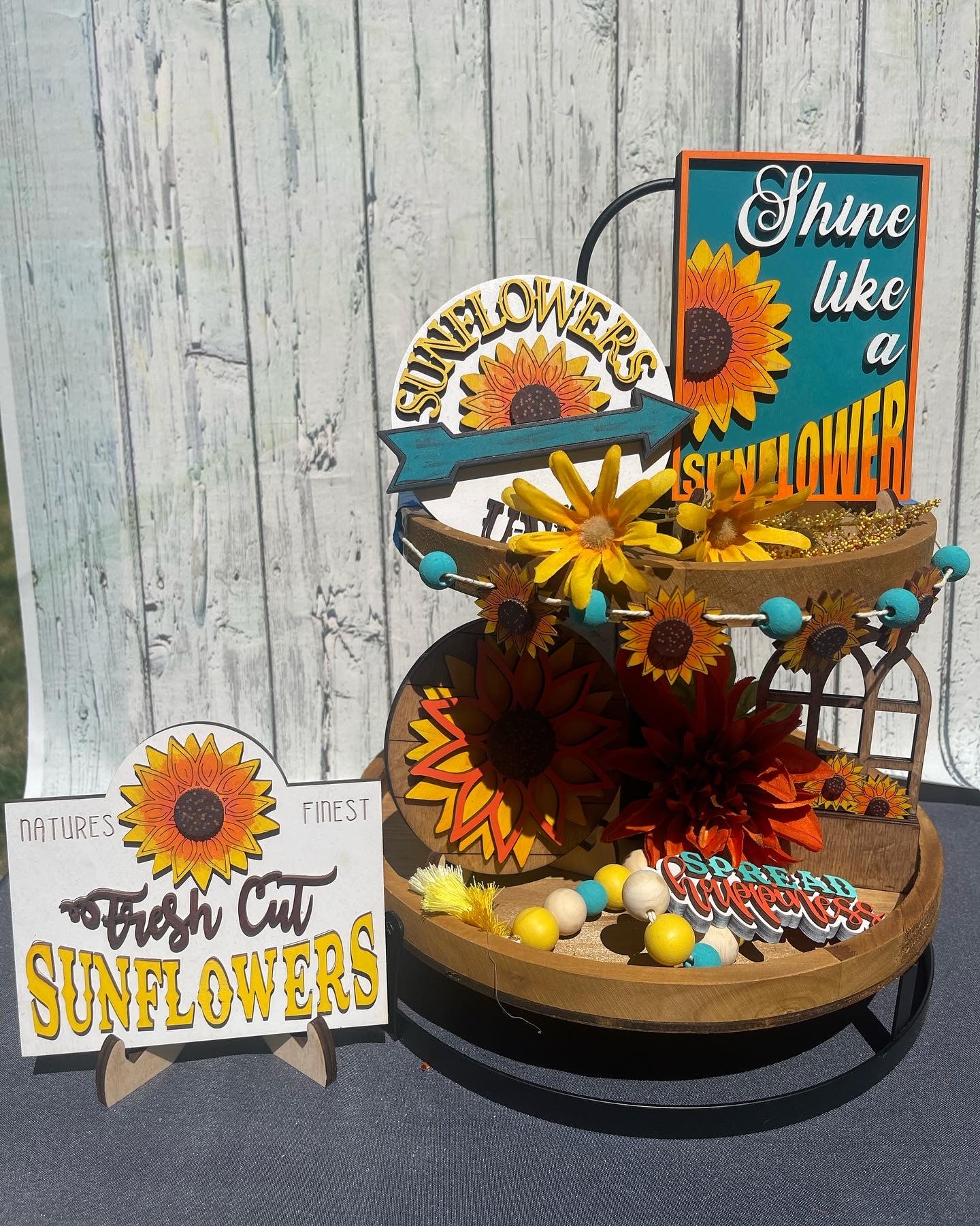 Sunflower Blooms