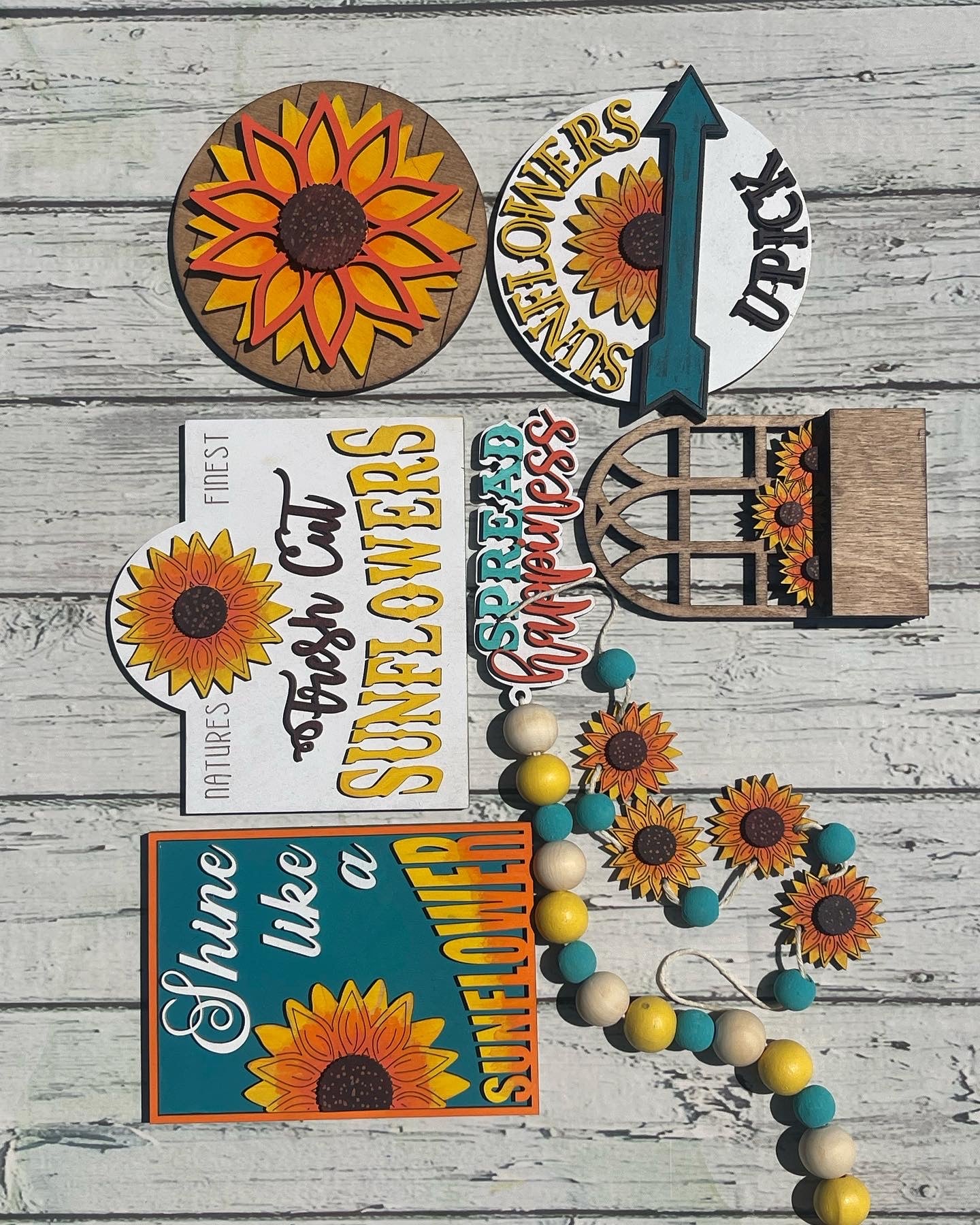 Sunflower Blooms