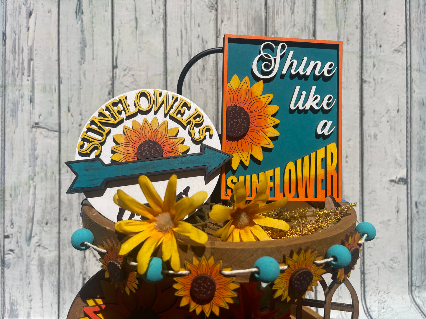 Sunflower Blooms