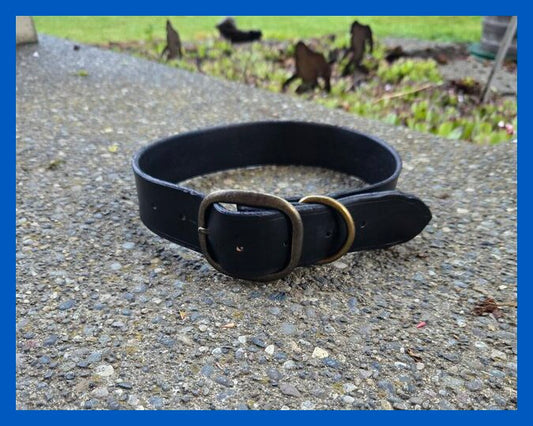 Leather Dog Collar Class