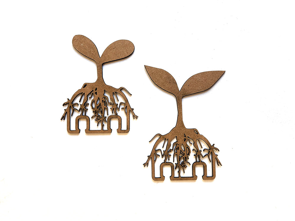 roloDEX cards : Sprouts