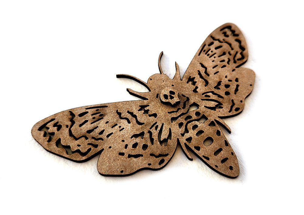 Chipboard: Death’s-head Hawkmoth