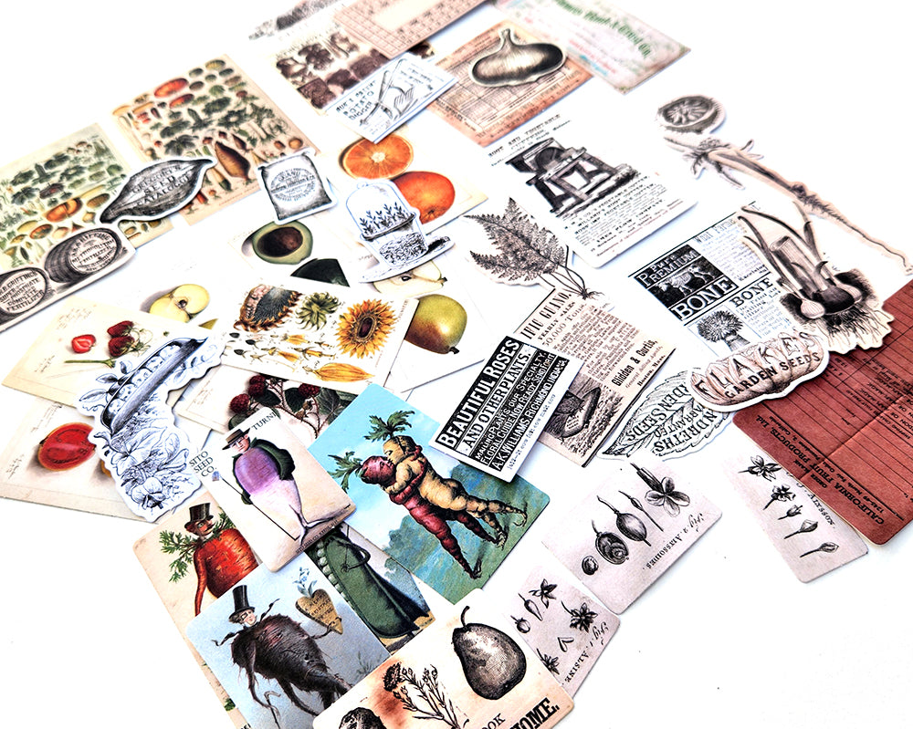 Seeds & Roots Diecuts