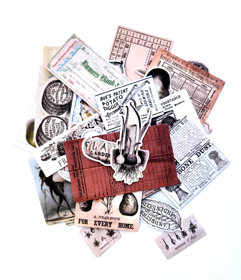 Seeds & Roots Diecuts