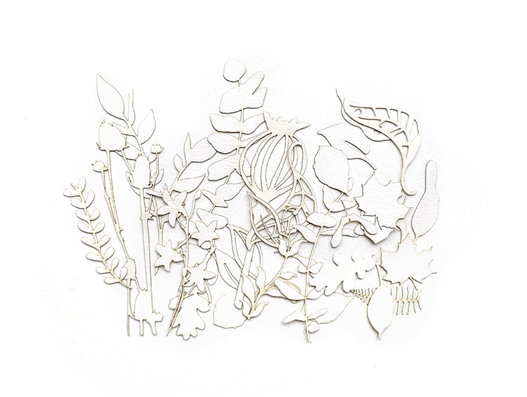 UmWOW Cuts – Florals – Watercolor Paper