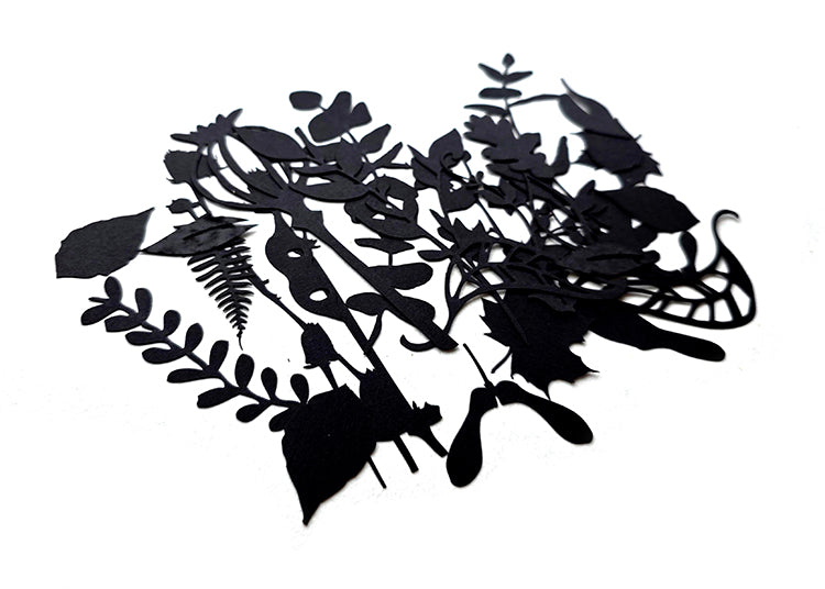 UmWOW Cuts – Florals – Black Card