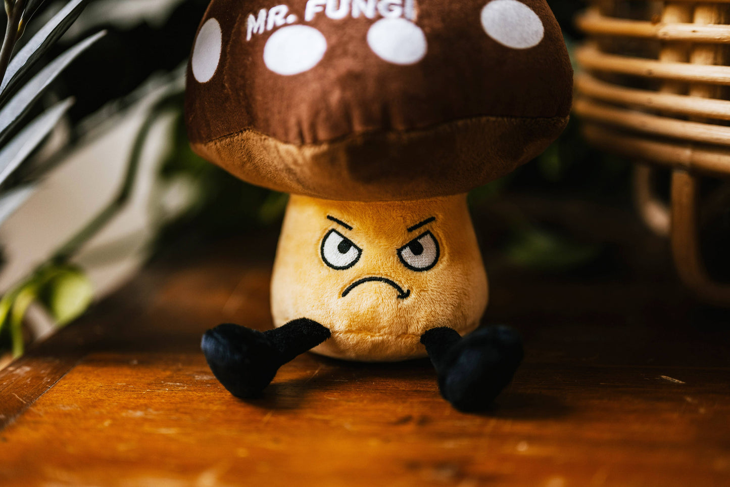 Plush Mushroom  No More Mr Fungi  Soft Cuddly Toy Funny Cute
