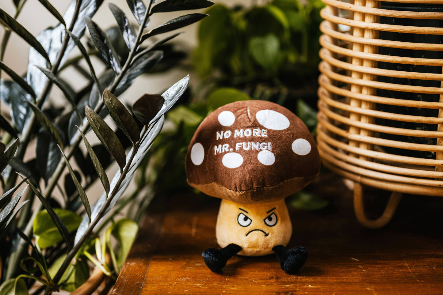 Plush Mushroom  No More Mr Fungi  Soft Cuddly Toy Funny Cute