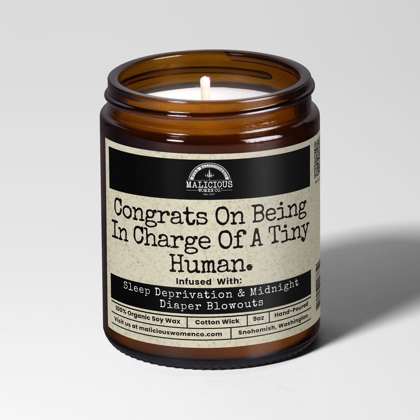 Congrats On Being In Charge Of A Tiny Human 9oz Family Candle Malicious Women Co
