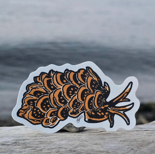 Orange/Black Nudibranch