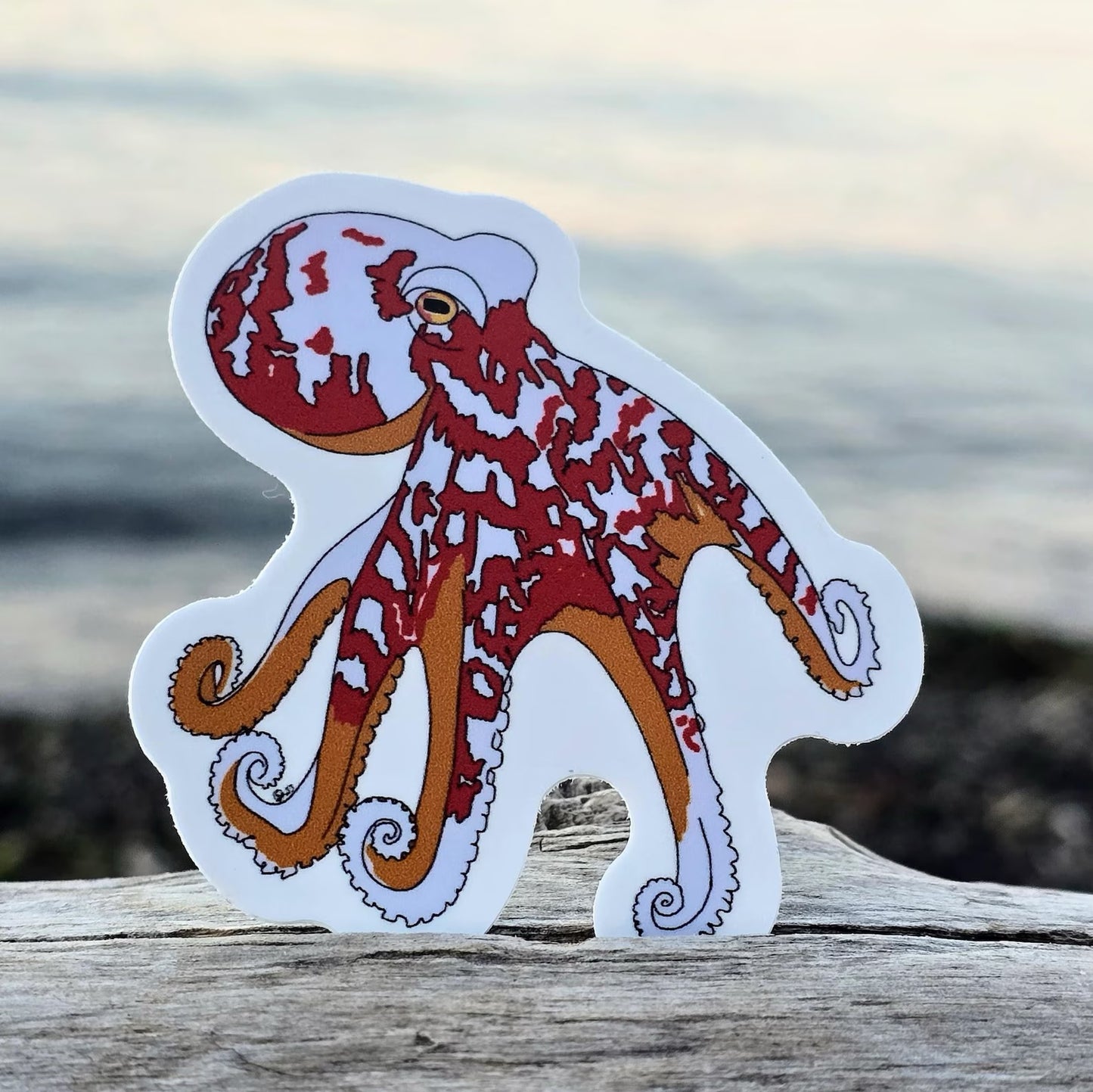 Octavia Octopus