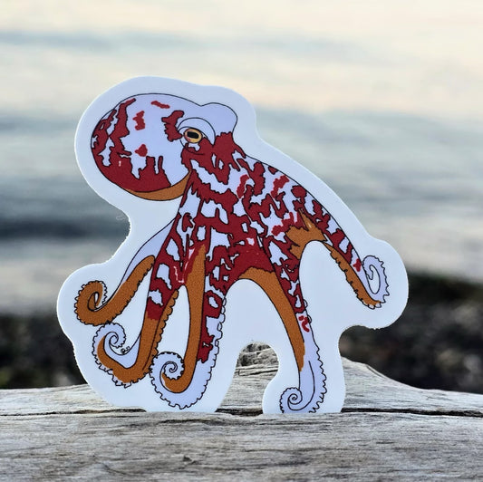 Octavia Octopus