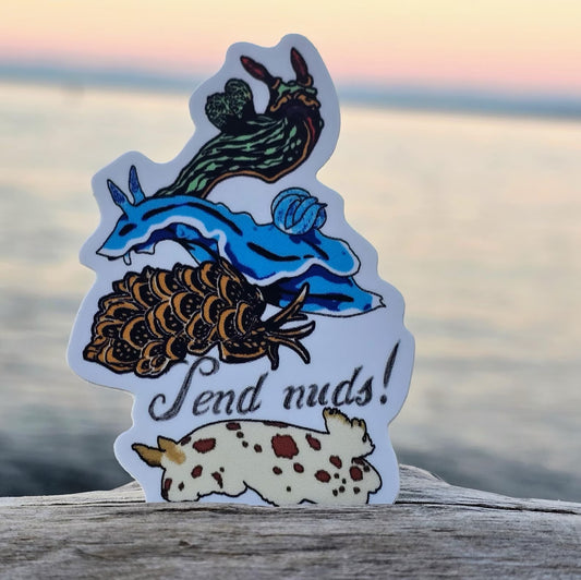 Send Nuds