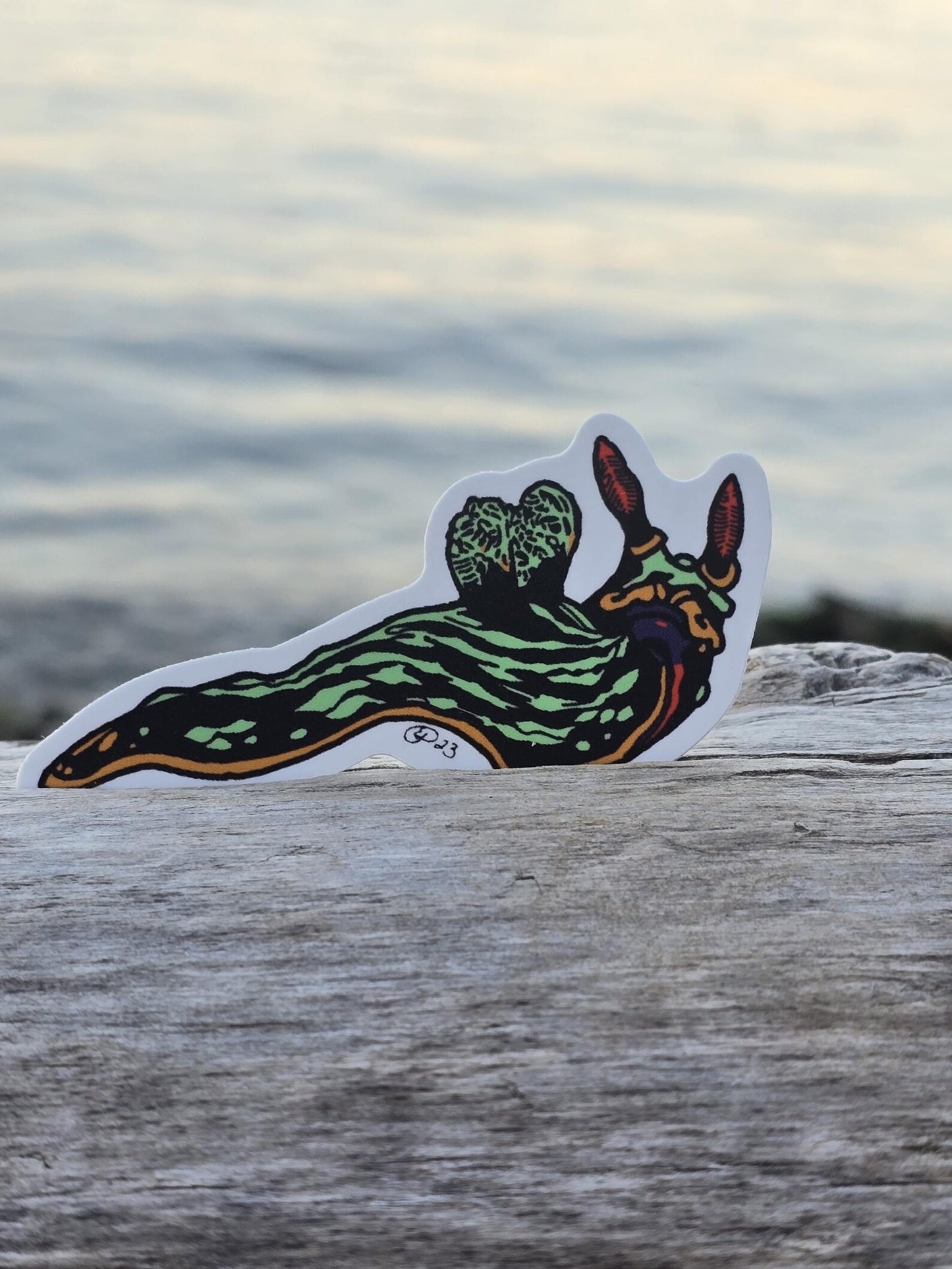 Green Nudibranch