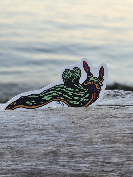 Green Nudibranch