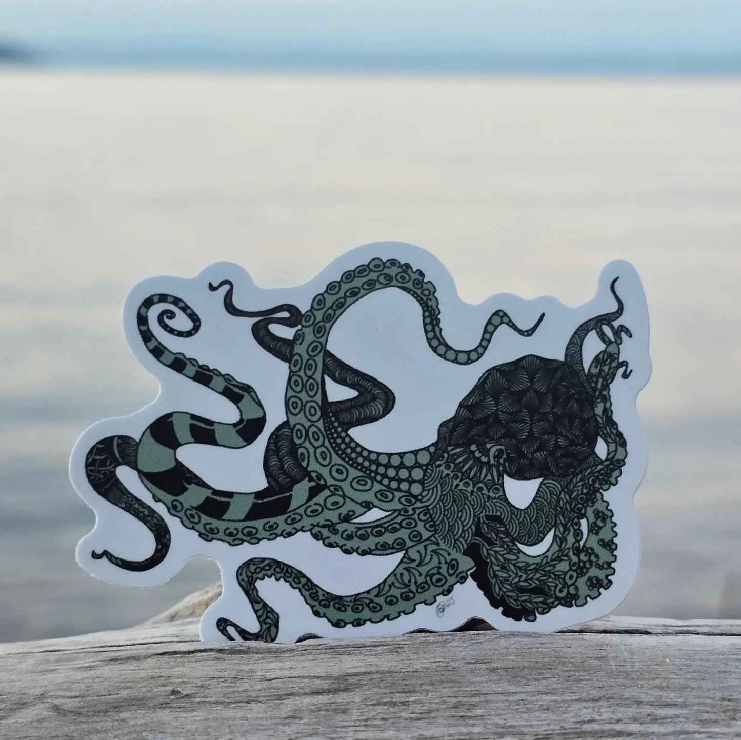 Delilah Octopus