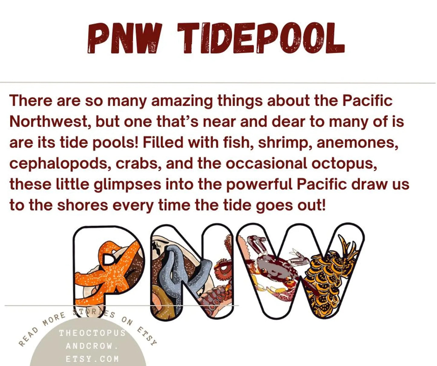 PNW Tide Pool