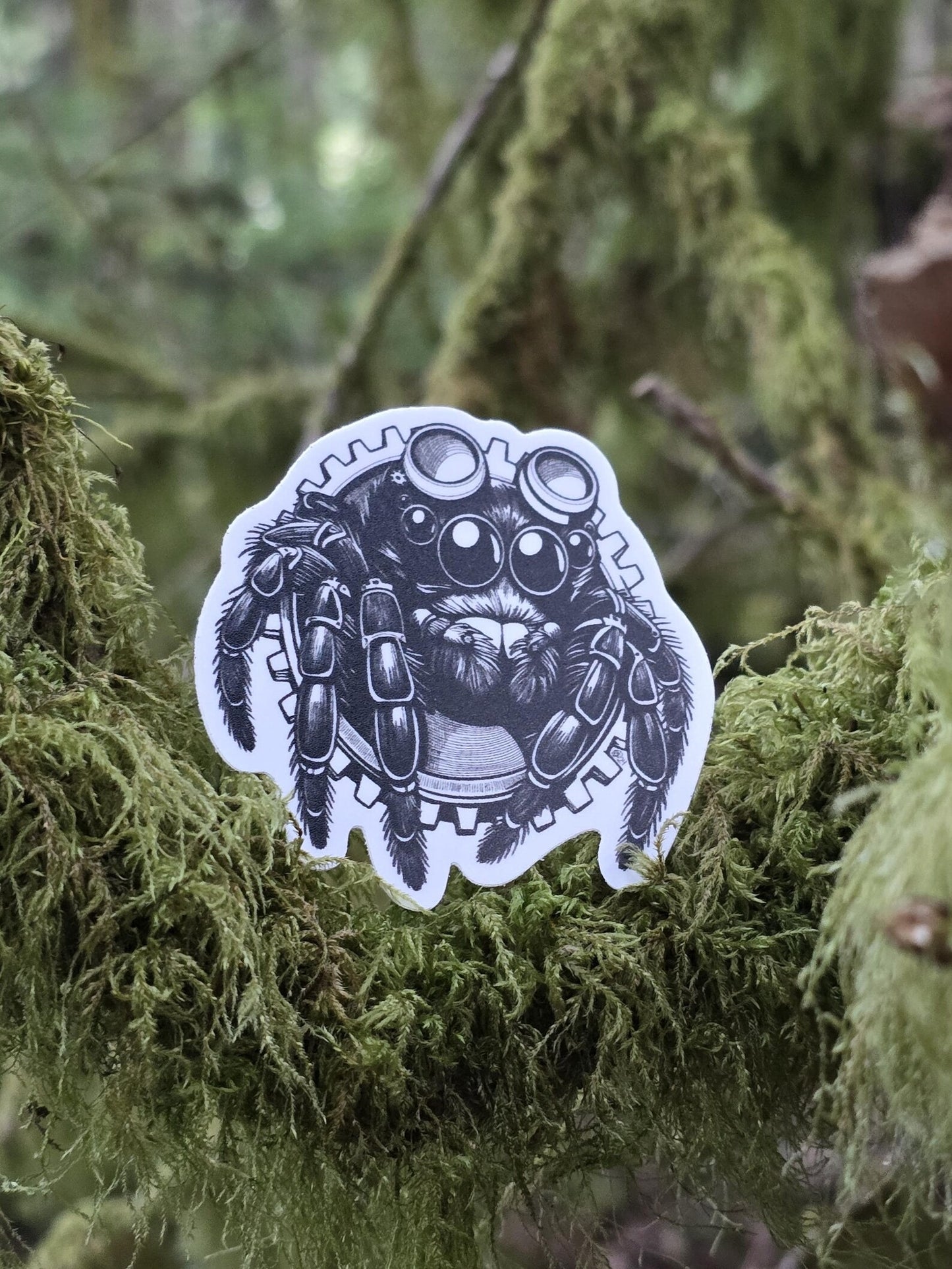 Osvaldo Spider Sticker
