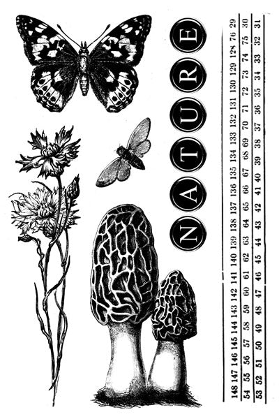 Nature Walk- Coordinating clear stamps